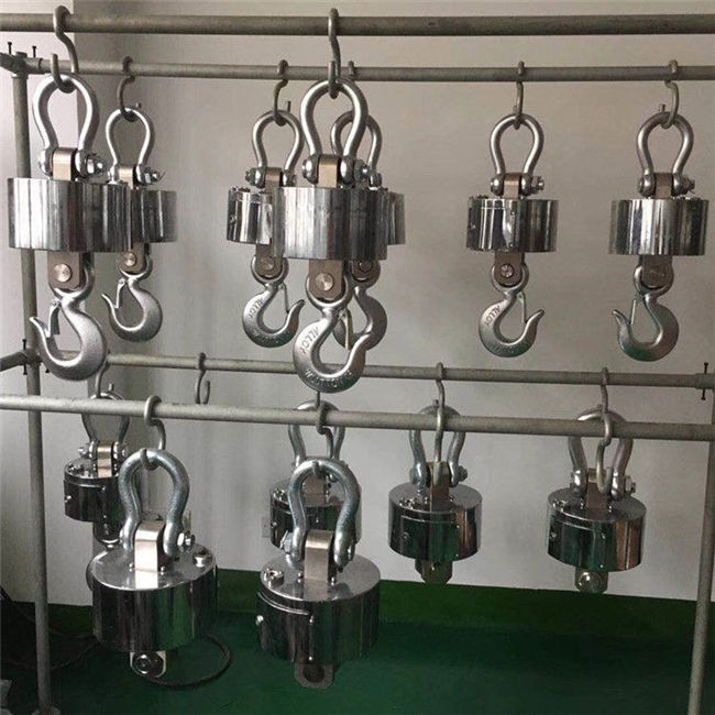 電子吊鉤秤